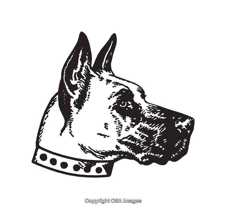 Hand-Drawn Illustration of a Dog Head in Black and White Style