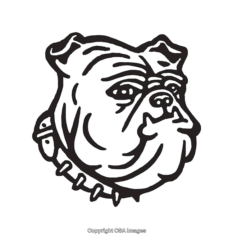 Black and White Line Art Illustration of a Bulldog Head with Collar