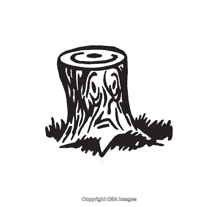 Black and White Line Art Illustration of a Tree Stump