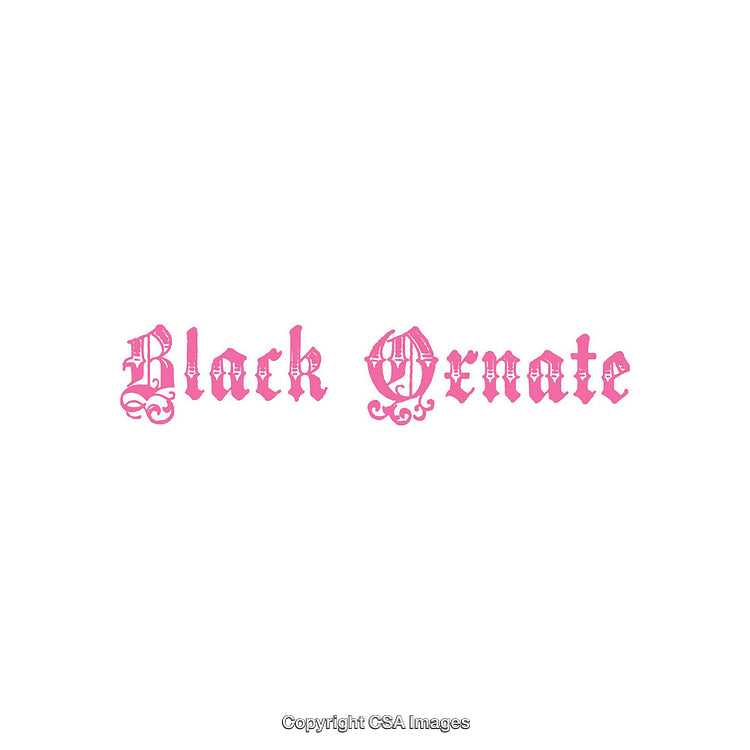 Decorative Pink Typography in Ornate Blackletter Style on White Background