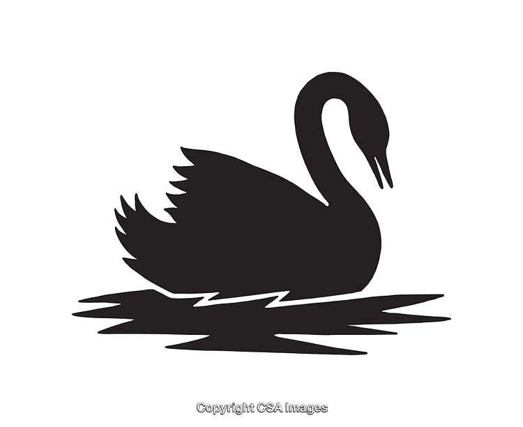 Black Swan Icon Silhouette on Reflective Water in Minimalist Design