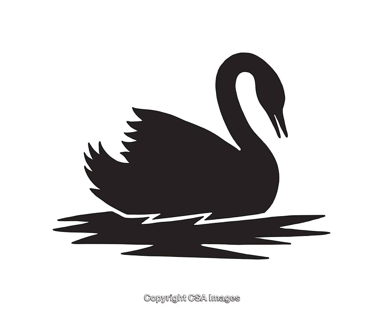 Black Swan Icon Silhouette on Reflective Water in Minimalist Design