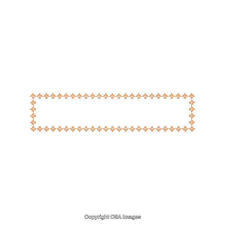 Rectangular Decorative Floral Frame Design With Orange Elements on White Background