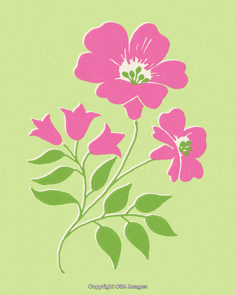 Vibrant Pink Flowers with Green Leaves on a Pastel Background