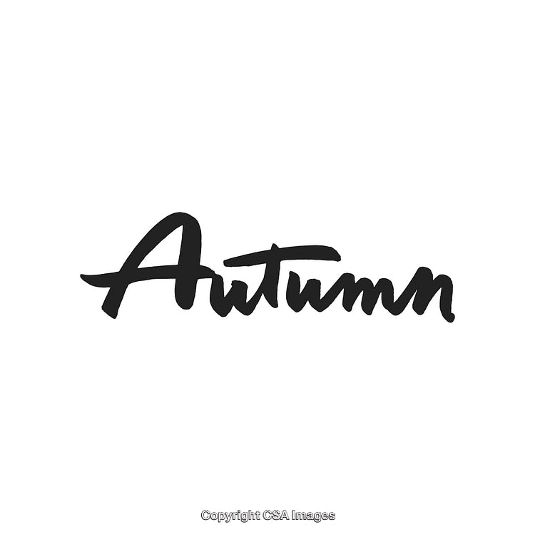 Stylish Scripted Typography Featuring the Word Autumn in Handwritten Style