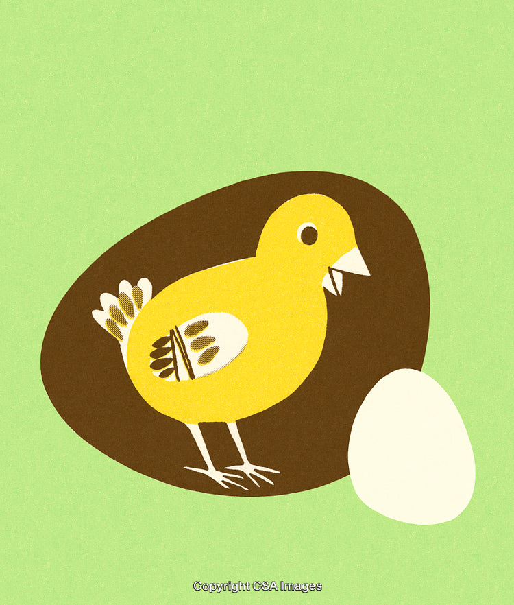 Colorful Illustration of a Chick Beside an Egg on a Green Background
