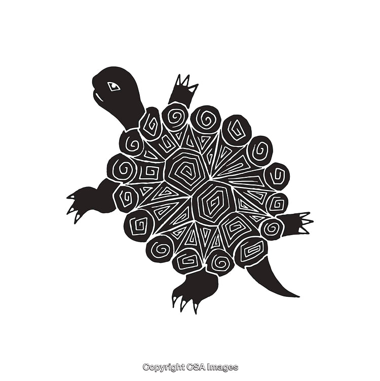 Intricate Black and White Turtle Line Art with Abstract Patterns