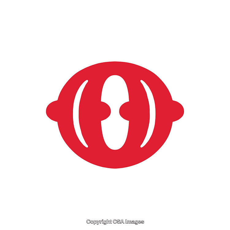 Bold Red Letter O On Plain White Background
