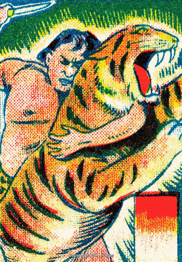 Dynamic Illustration of Man Wresting a Tiger in Colorful Vintage Style
