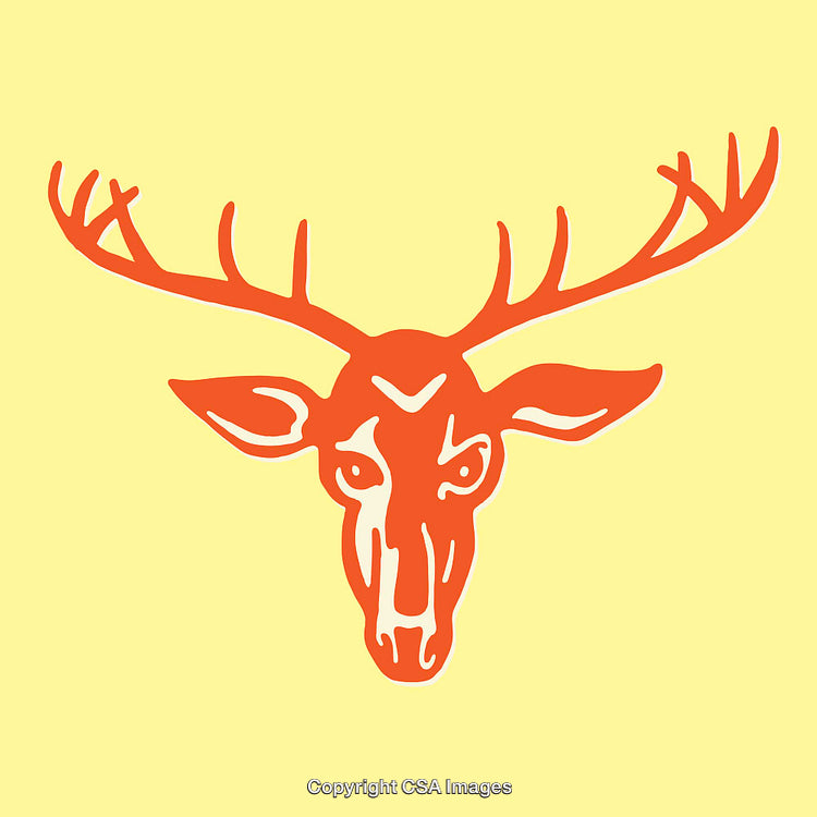 Vibrant Line Art Illustration of a Deer Head with Antlers