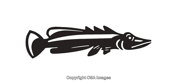 Black and White Artistic Silhouette of a Fish Design Illustration
