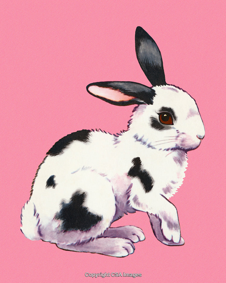 Adorable Black and White Rabbit on Pink Background in Artistic Style