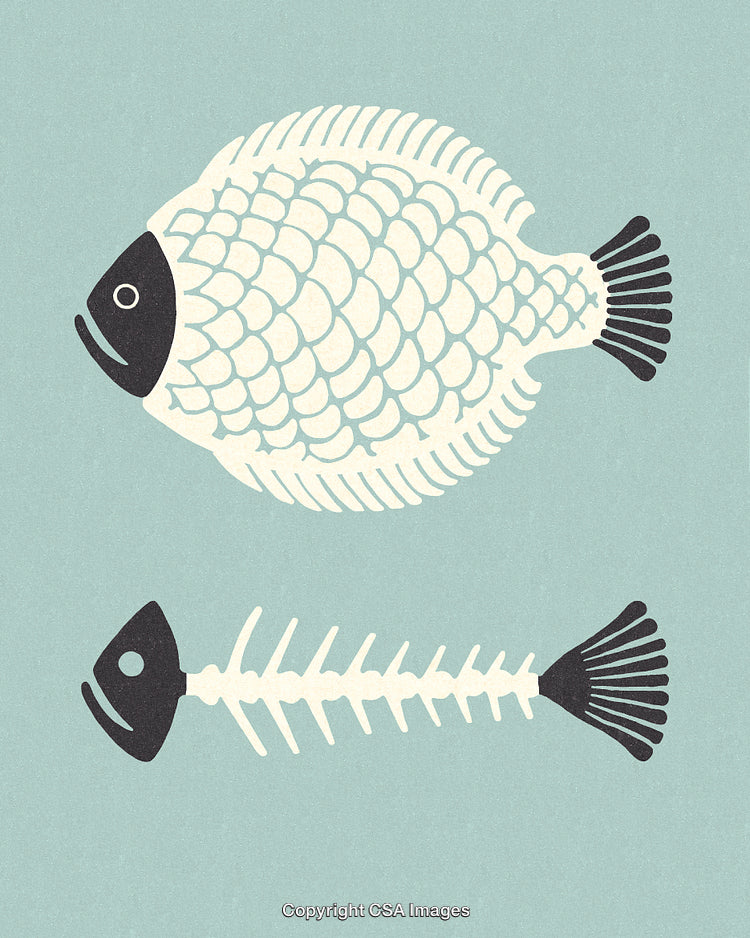 Illustration of Fish Skeleton and Whole Fish on a Blue Background