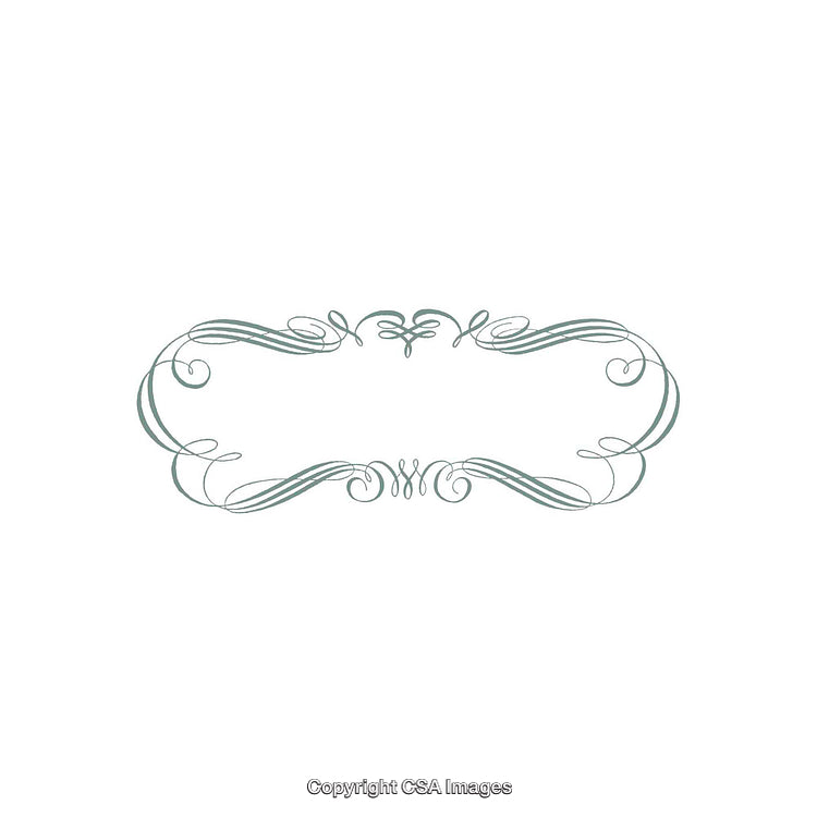 Elegant Ornamental Scrollwork Frame with Decorative Vintage Swirls
