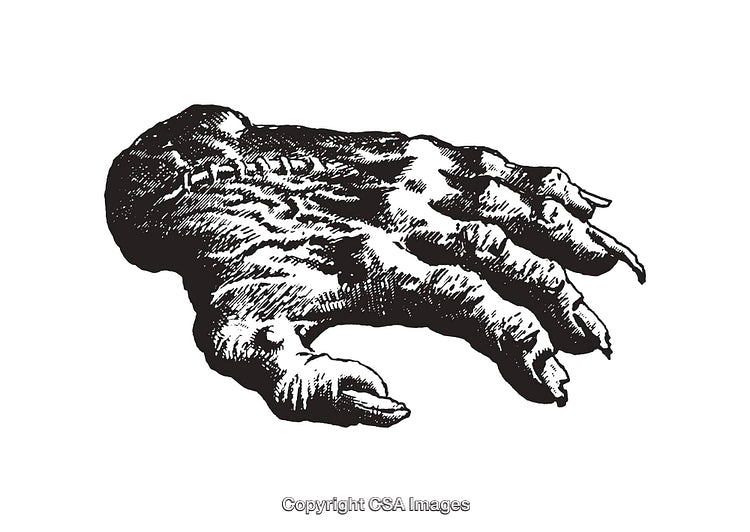 Detailed Black and White Illustration of a Monstrous Hand