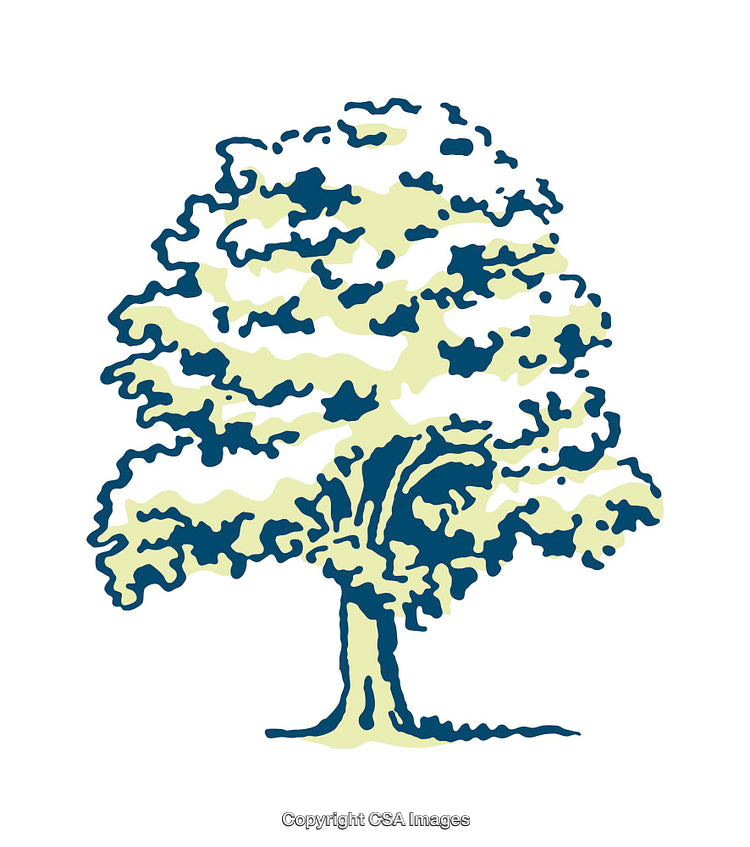 Artistic Illustration of a Vibrant Tree in Stylized Colors