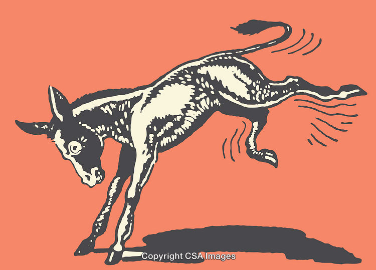 Vintage Line Art Donkey Kicking on Coral Background Illustration