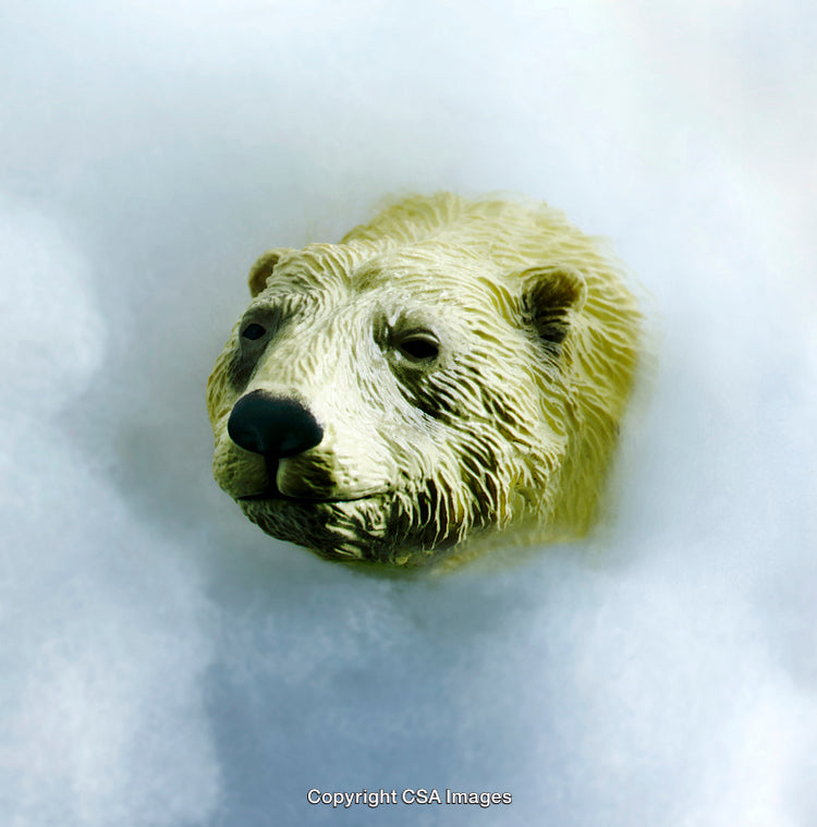 Animal Figurine of a Bear Surrounded by Soft White Material in Focus