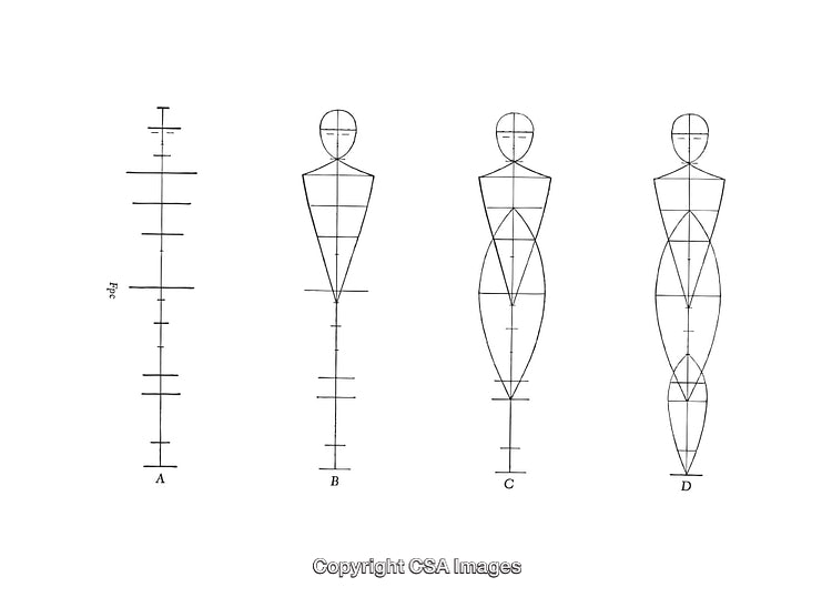 Detailed Black and White Human Anatomy Diagrams in Progressive Stages
