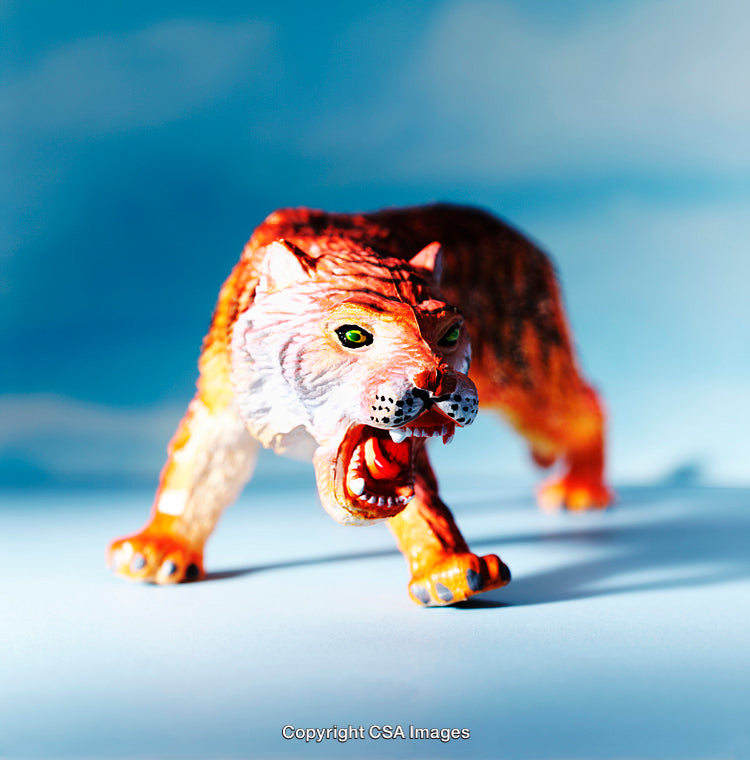 Close-Up Of Fierce Tiger Toy Figurine Against Blue Background