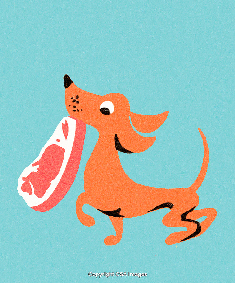 Illustration of a Dog Carrying a Large Piece of Meat on Blue Background