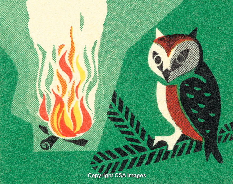 Vintage Owl Illustration by a Campfire in a Nature Scene