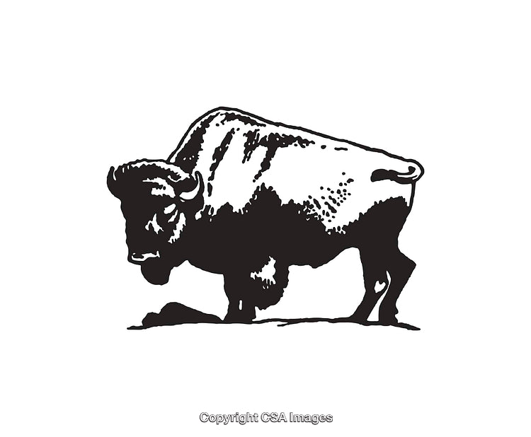 Monochromatic Line Art of a Bison Standing in Profile View