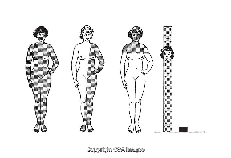 Black and White Vector Diagram of Various Body Forms