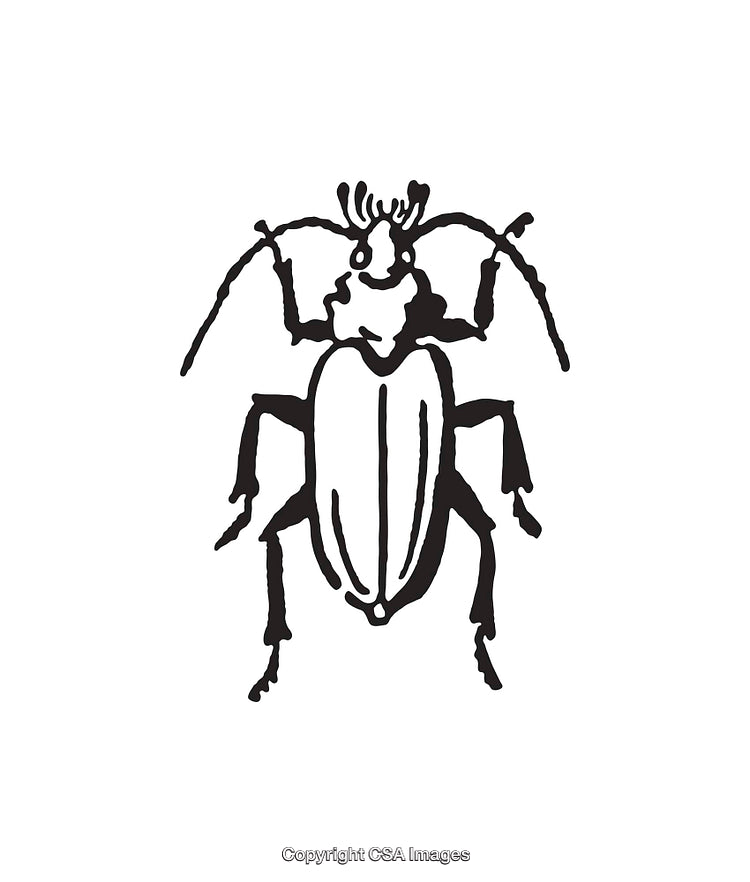 Black and White Line Art Illustration of a Stylized Beetle Drawing