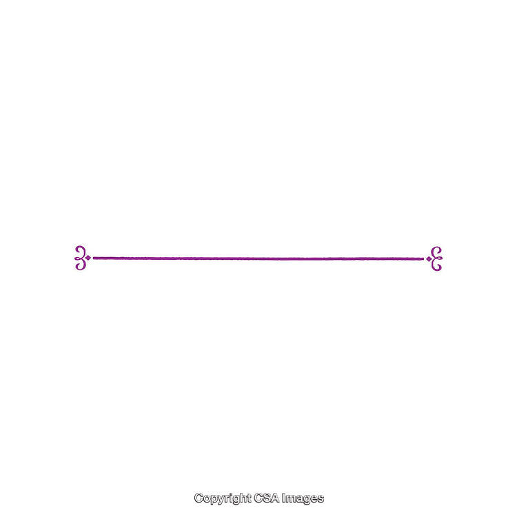 Elegant Purple Floral Divider Design on White Background