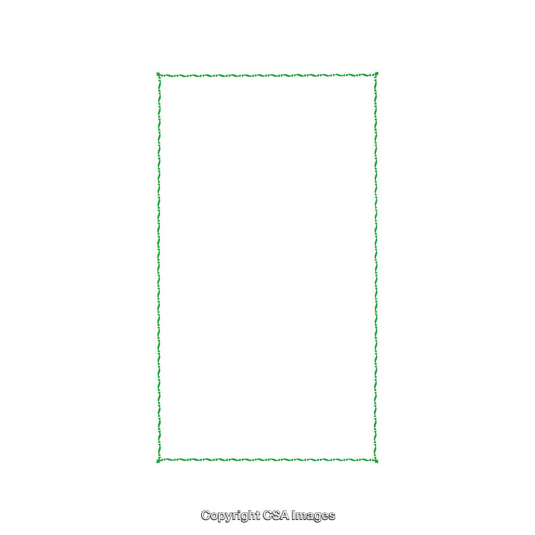Minimal Green Rectangular Frame on White Background with Delicate Border Design