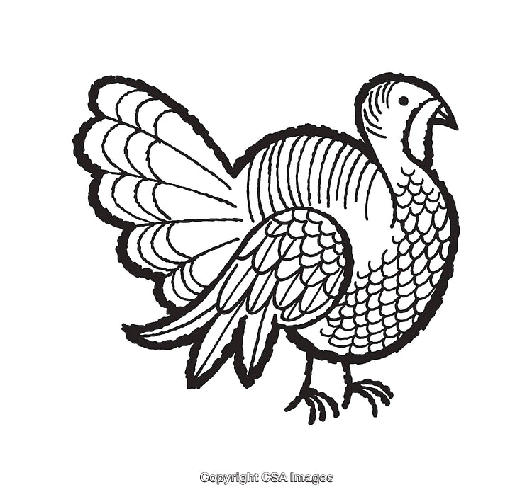 Black and White Line Art Illustration of a Turkey With Detailed Feathers