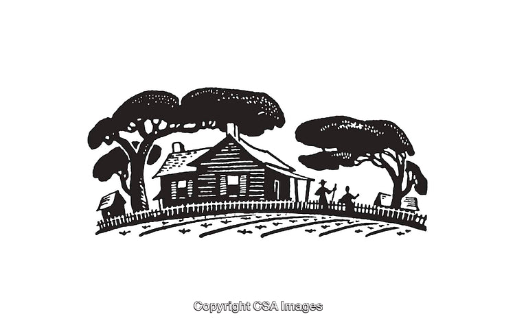 Rustic Line Art Illustration of a Simple Cottage Among Trees