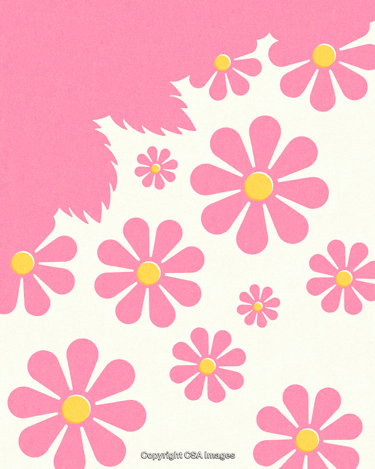 Cute Pink Daisy Flowers on a Pastel Background Design