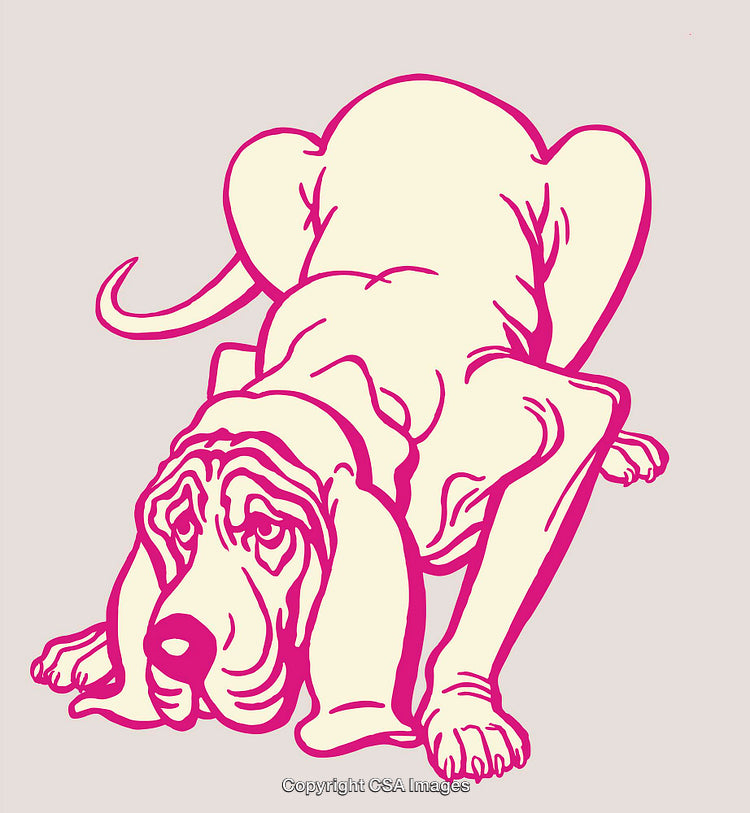 Pink Color Line Art Illustration of a Playful Basset Hound Dog