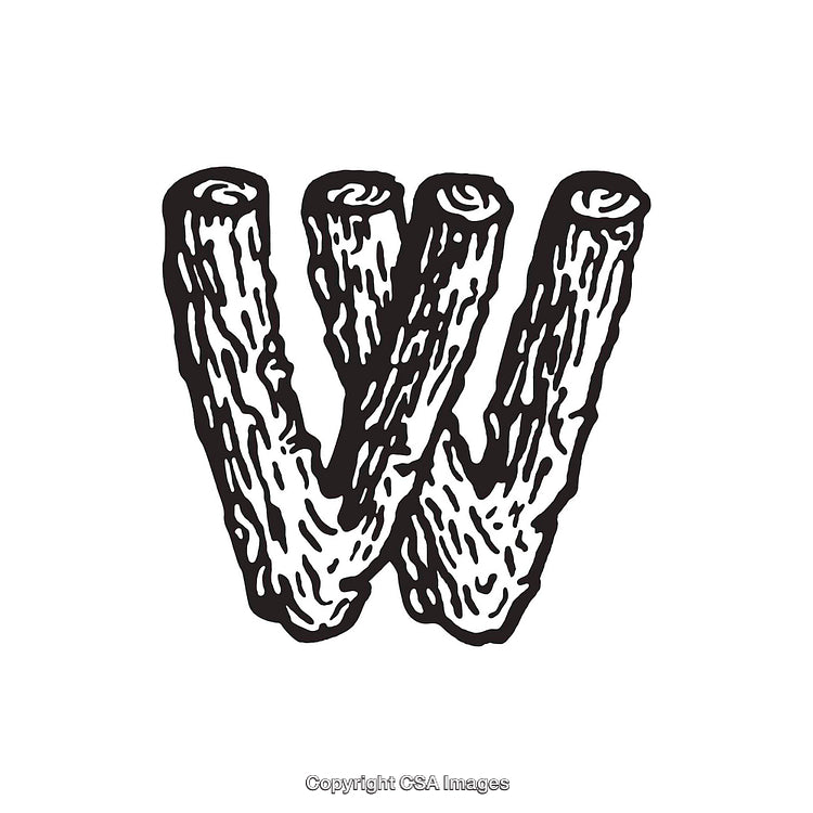 Illustrated Textured Letter W Shaped from Organic Wooden Branches Design