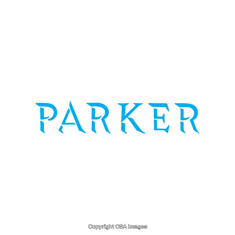 Elegant Blue Parker Text Logo Design on White Background