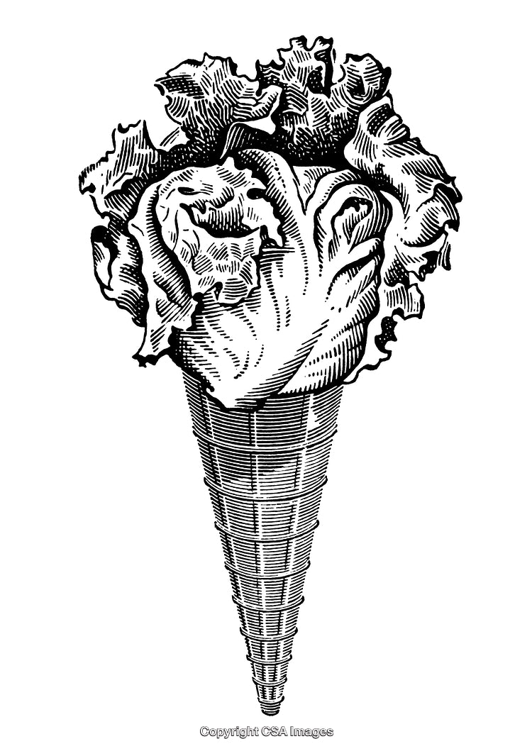Black and White Engraving of Lettuce in a Waffle Cone Illustration