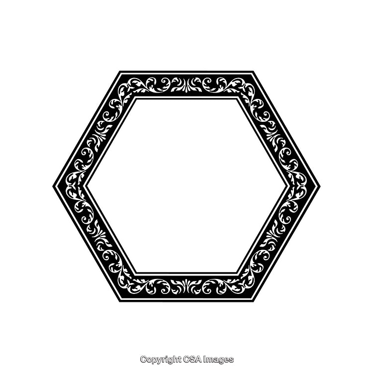 Elegant Black and White Hexagonal Border with Ornamental Design
