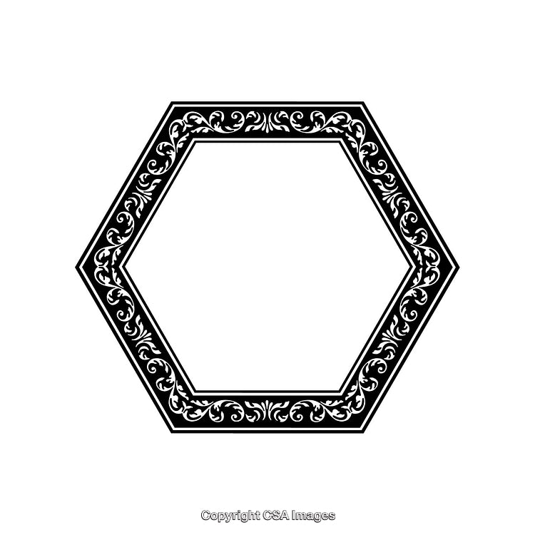 Elegant Black and White Hexagonal Border with Ornamental Design