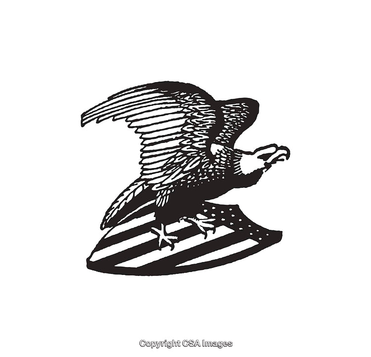 Black And White Line Art of an Eagle Holding a Shield