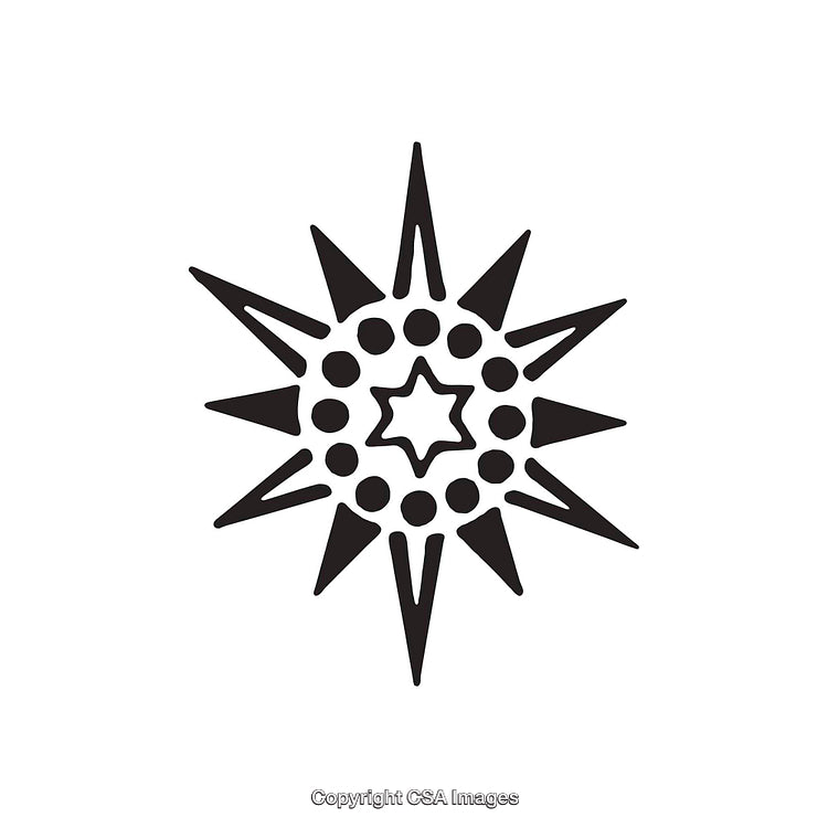 Intricate Black and White Dingbat Design with Symmetrical Star Patterns