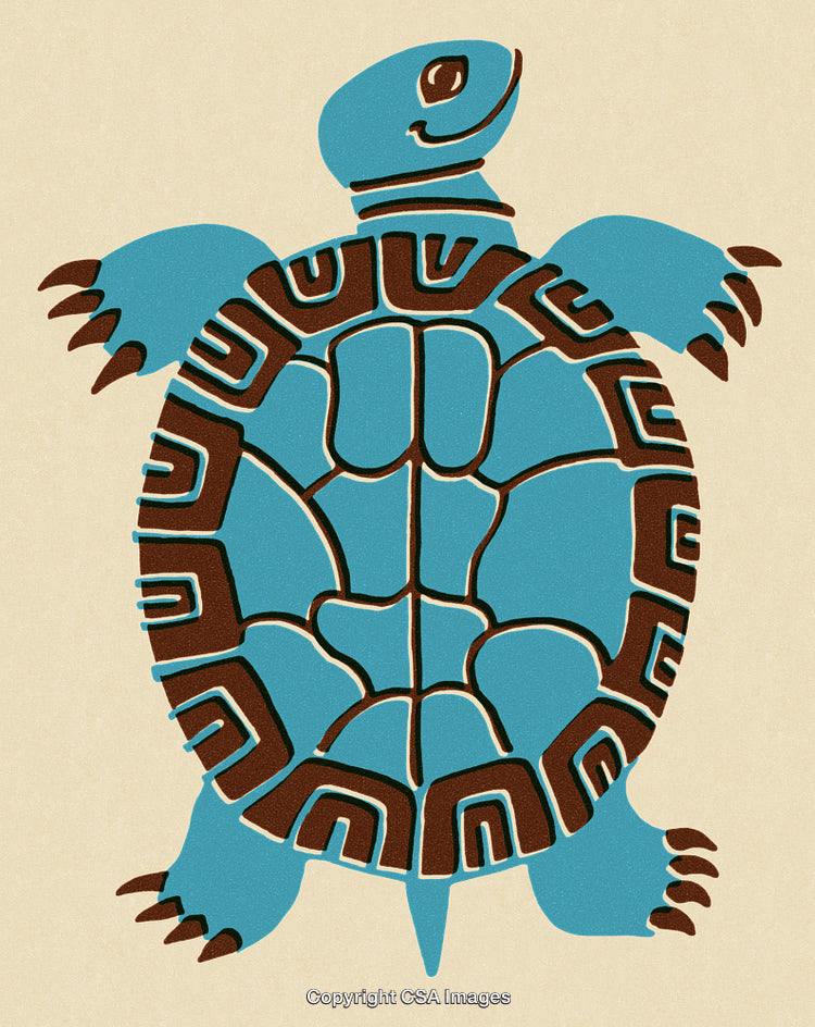 Stylized Turtle Illustration With Geometric Patterns in Blue and Brown Colors