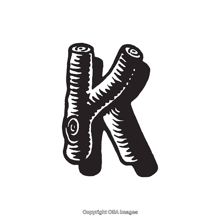 Intricate Illustration of the Letter K Resembling Tree Branches in Black and White