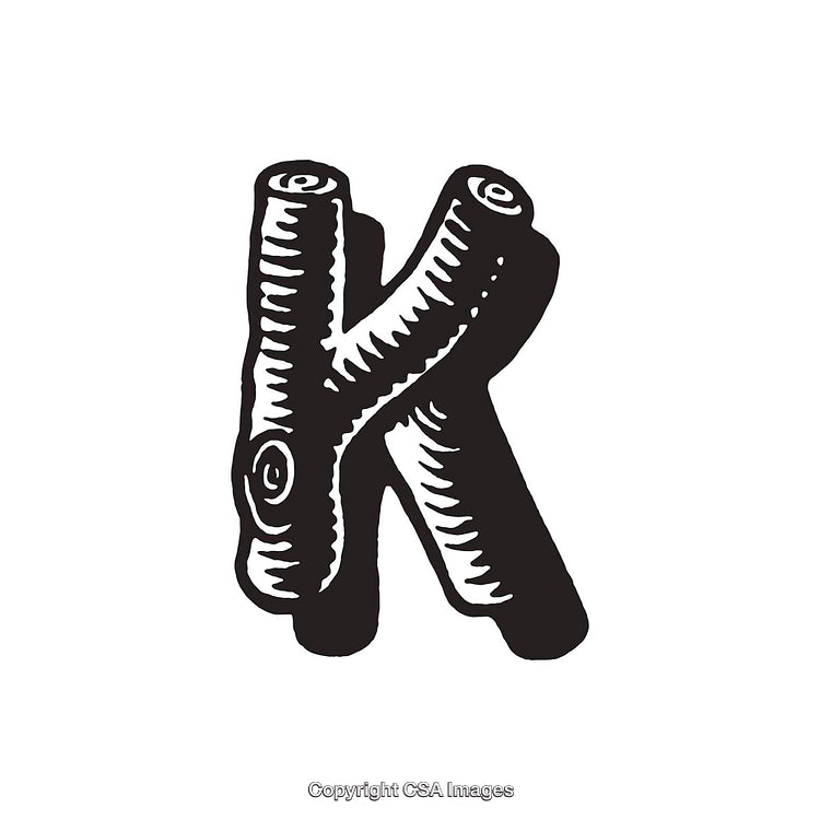 Intricate Illustration of the Letter K Resembling Tree Branches in Black and White