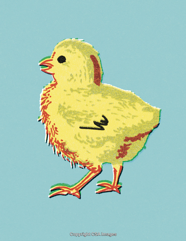 Retro Style Illustration of a Chick with a Vibrant Background