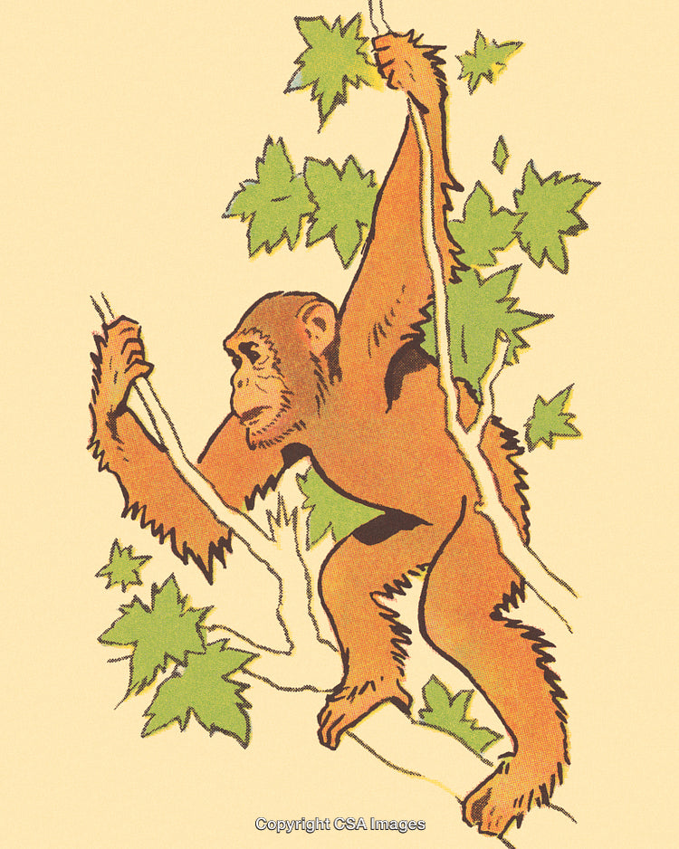 Retro Illustration of an Orangutan Climbing in a Jungle Setting