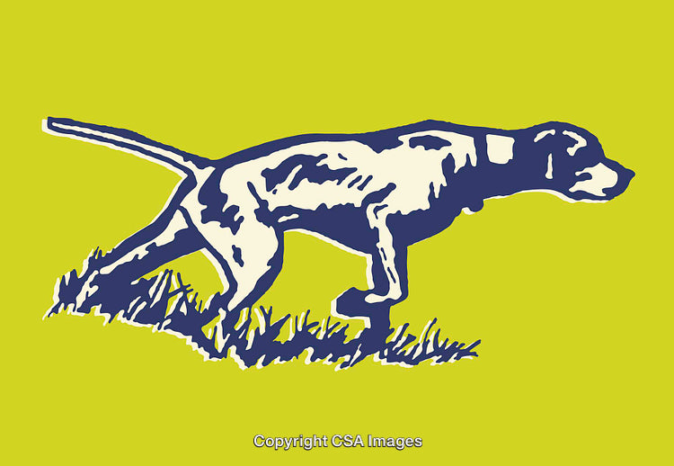 Graphic Line Art of a Pointing Hunting Dog in Bold Colors