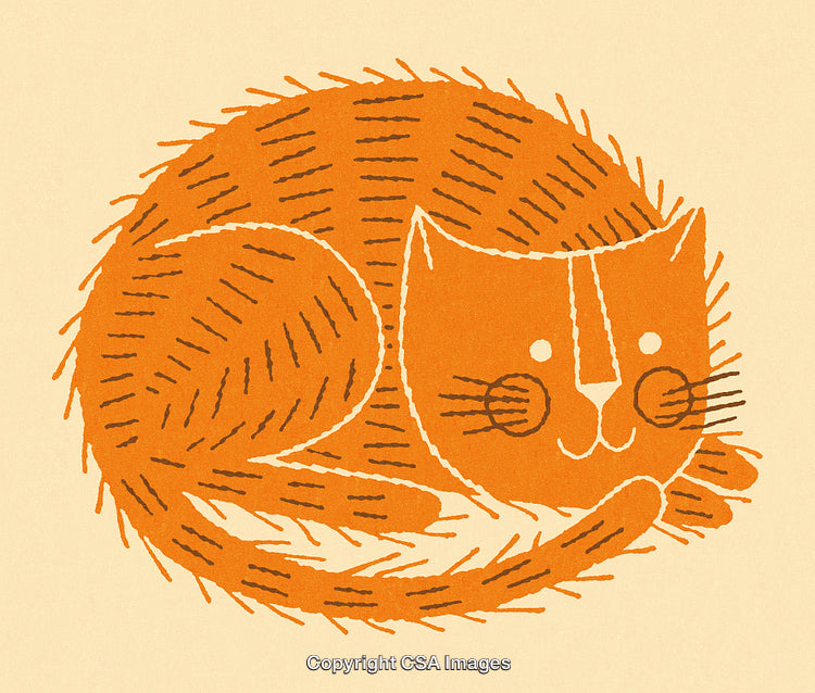 Illustration of a Content Orange Cat Curled Up Resting Peacefully