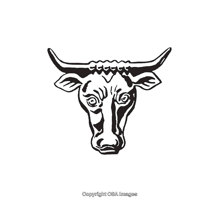 Black and White Line Art Illustration of a Bull's Head